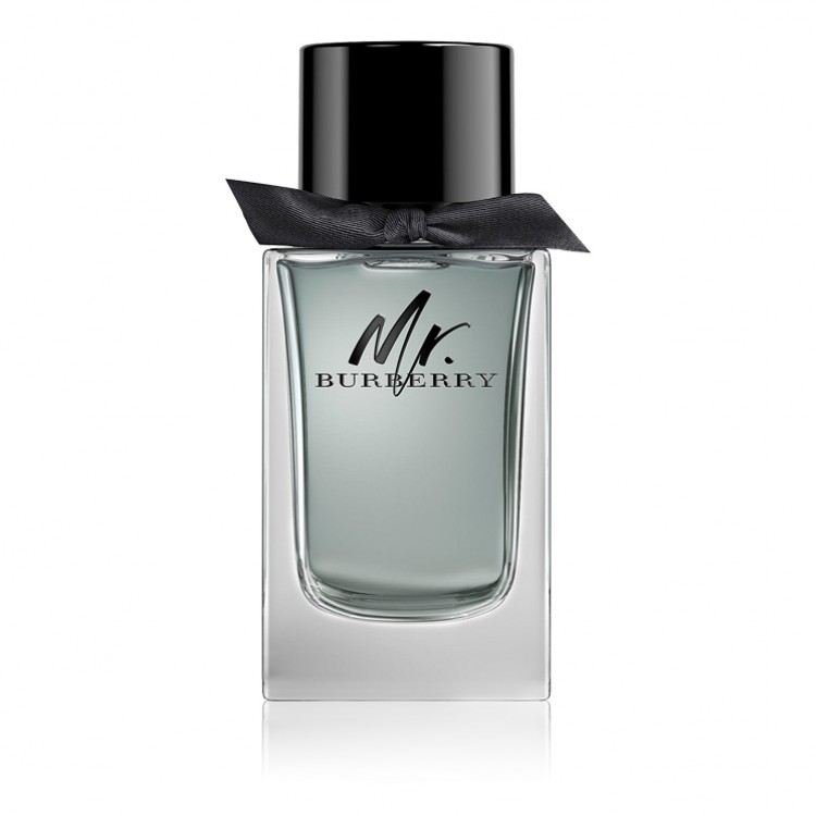 Burberry Mr Burberry - Eau de Toilette For Men