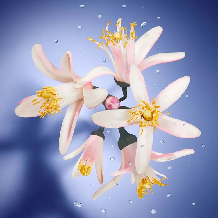 Tester Lancôme La Vie Est Belle L'Eclat L'Eau