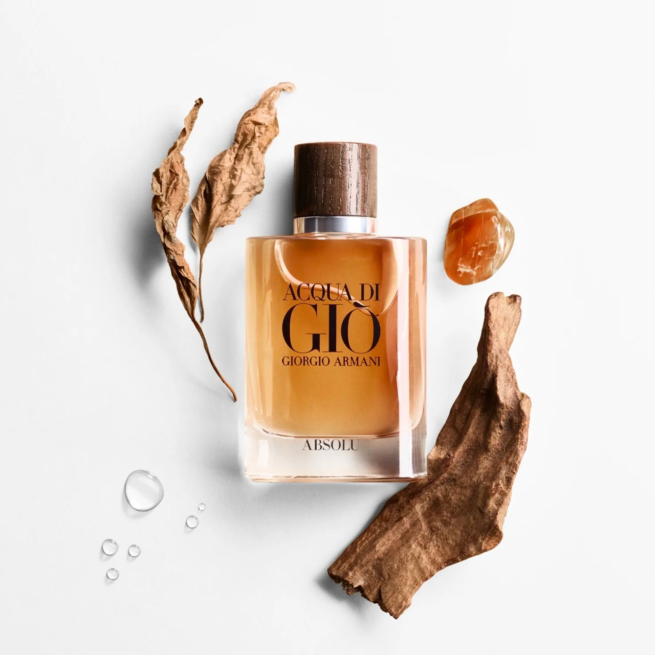 Giorgio Armani Acqua di Gio Absolu