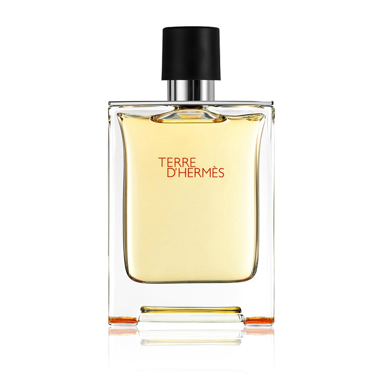 Hermes Terre D'Hermes - Eau de Toilette For Men